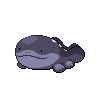 Shiny Clodsire